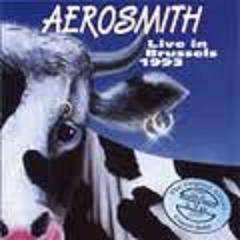 Aerosmith : Live in Brussels 1993